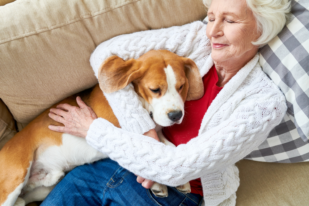 Independent Living St. Petersburg: Benefits of Pet Therapy